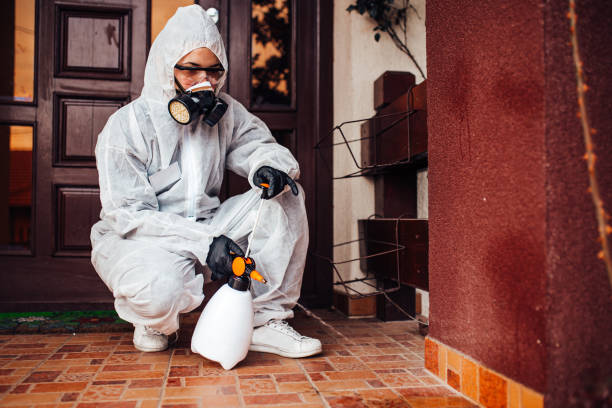Reliable Cockroach Control contractor in Atascocita, TX by Nex Pest Control